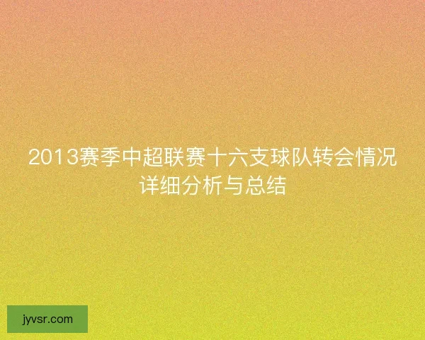 2013赛季中超联赛十六支球队转会情况详细分析与总结